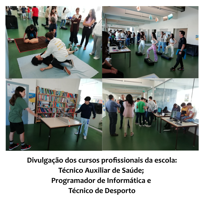 Divulgação dos Cursos Profissionais