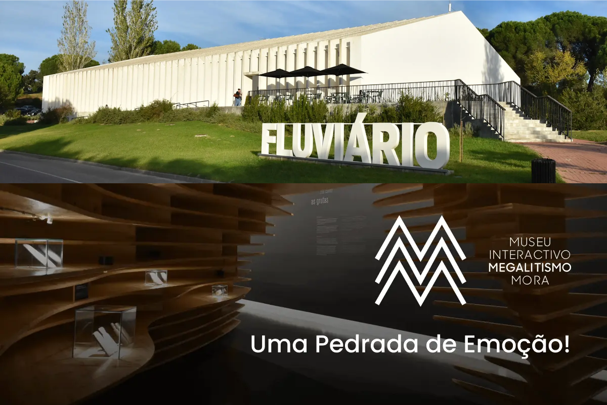 Visita de estudo ao Fluviário de Mora e ao Museu Interativo do Megalitismo